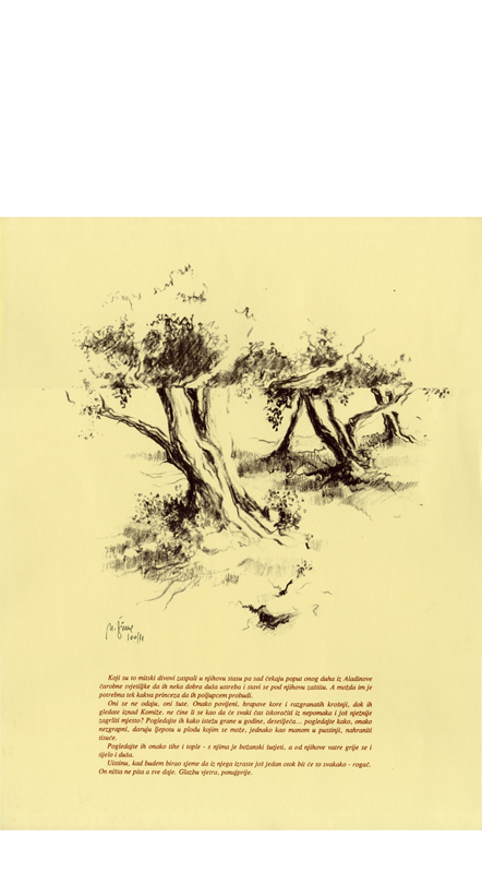 008-002