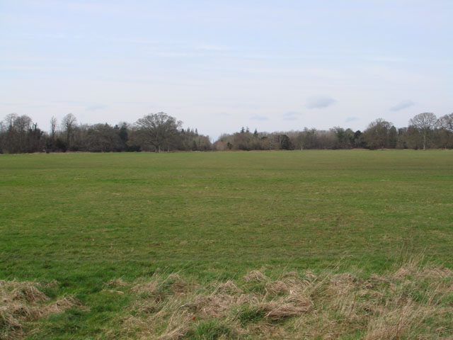 DSC00151