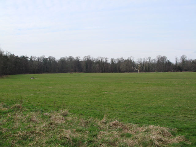 DSC00153