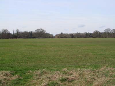 DSC00151