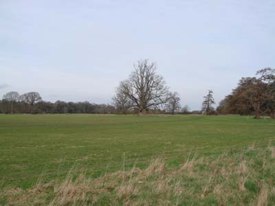 DSC00152