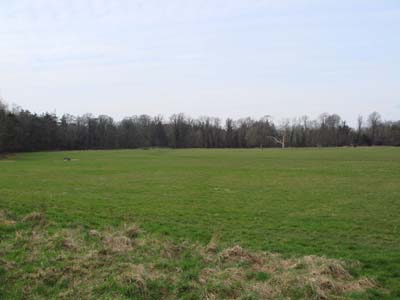 DSC00153