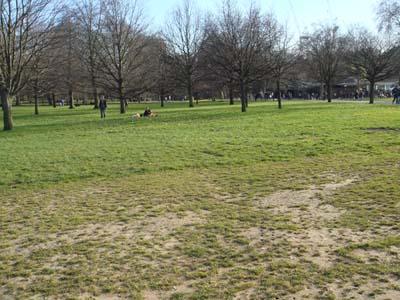 DSC00016