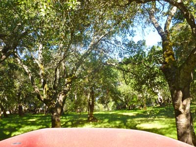 Sonoma 4th 2011 - 011